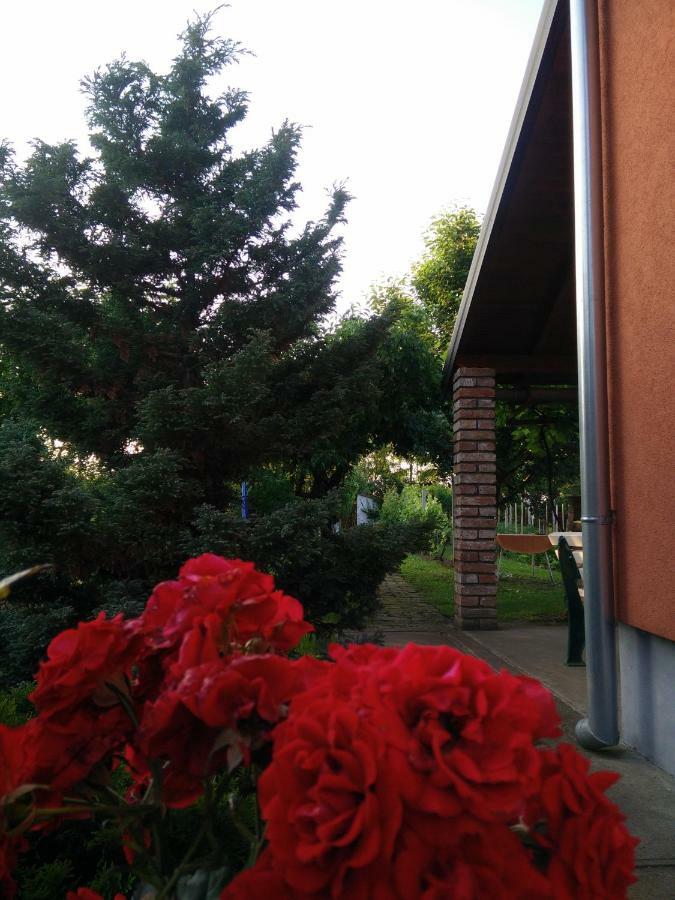 Kuca Za Odmor Mirni Kutak Vukovar Exterior photo